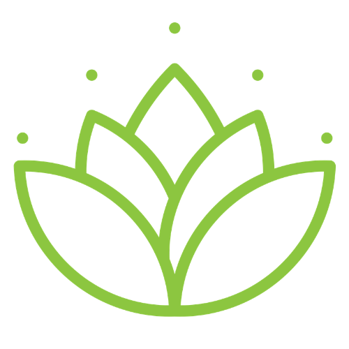 Holistic Care